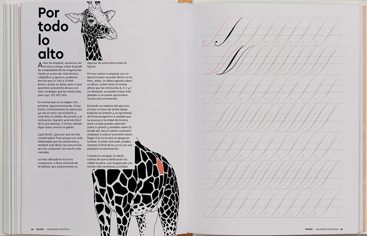 Caligrafía creativa 3. Manual para enamorados de la cursiva inglesa: Manual para los enamorados de la caligrafía inglesa (Capa dura) 2