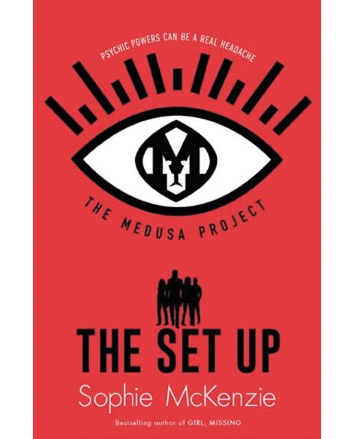 Medusa project: the set-up 1