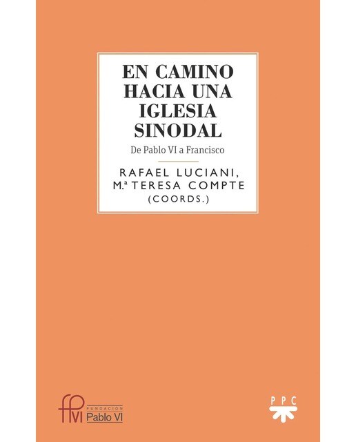 En camino hacia una Iglesia sinodal: De Pablo VI a Francisco (Capa mole) 1