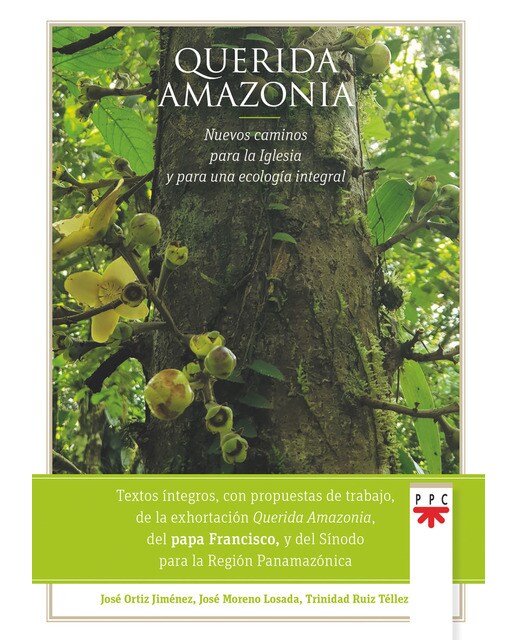 Querida Amazonia: Nuevos caminos para la Iglesia y para una ecología integral (Capa mole) 1