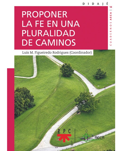 Proponer la fe en una pluralidad de caminos(Tapa blanda) 1