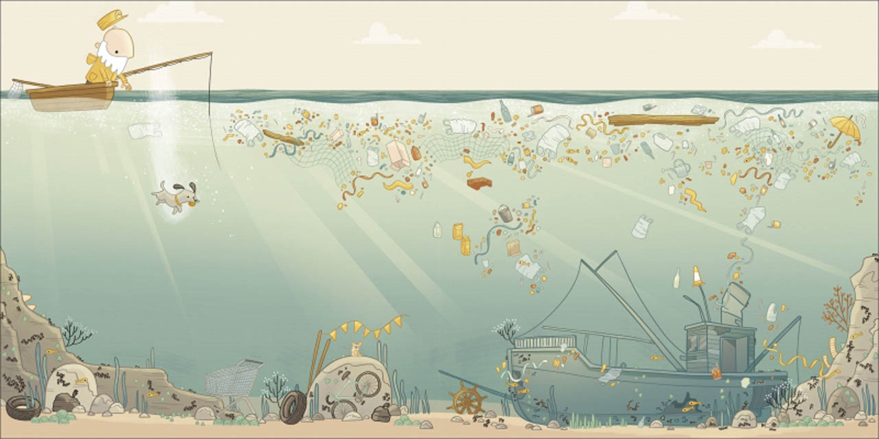 ¿Dónde están los peces?: Ayuda a Finn y a Skip a salvar el océano (Capa mole) 2