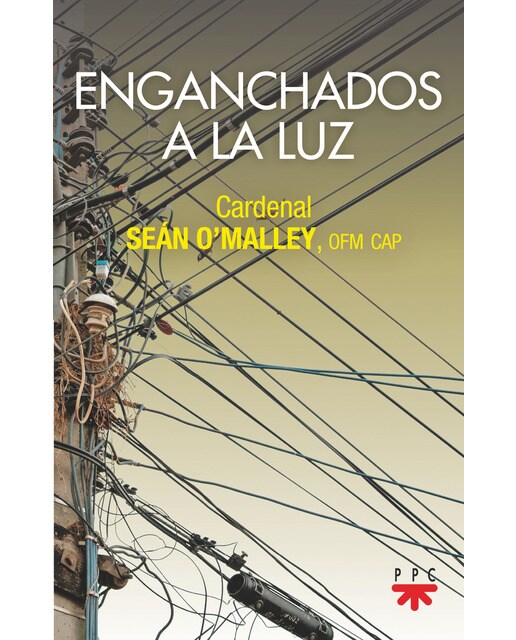 Enganchados a la luz(Tapa blanda) 1