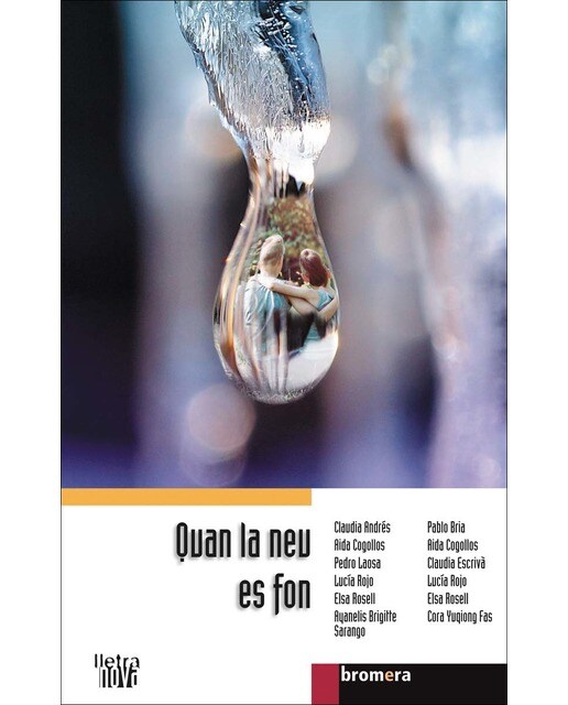 Quan la neu es fon