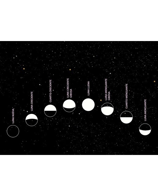 Luna mía: Un diario ilustrado para conectar con la Luna y usar toda su magia (Capa dura) 6