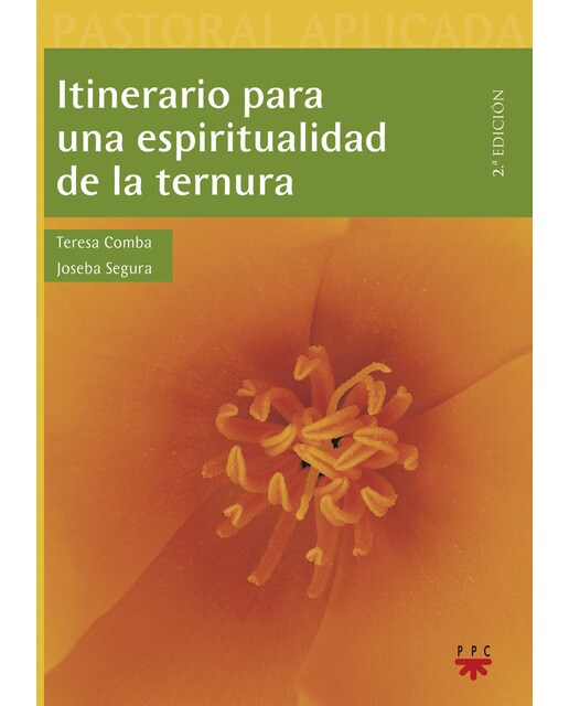 Itinerario para una espiritualidad de la ternura (Capa mole) 1