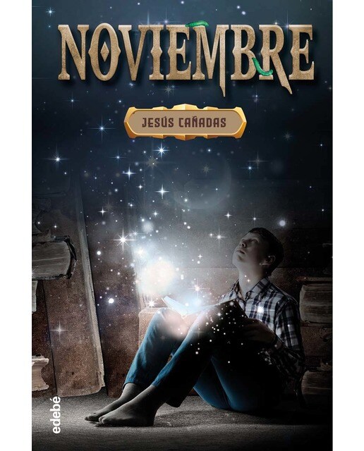 Imagem 0 de NOVIEMBRE (Capa mole)