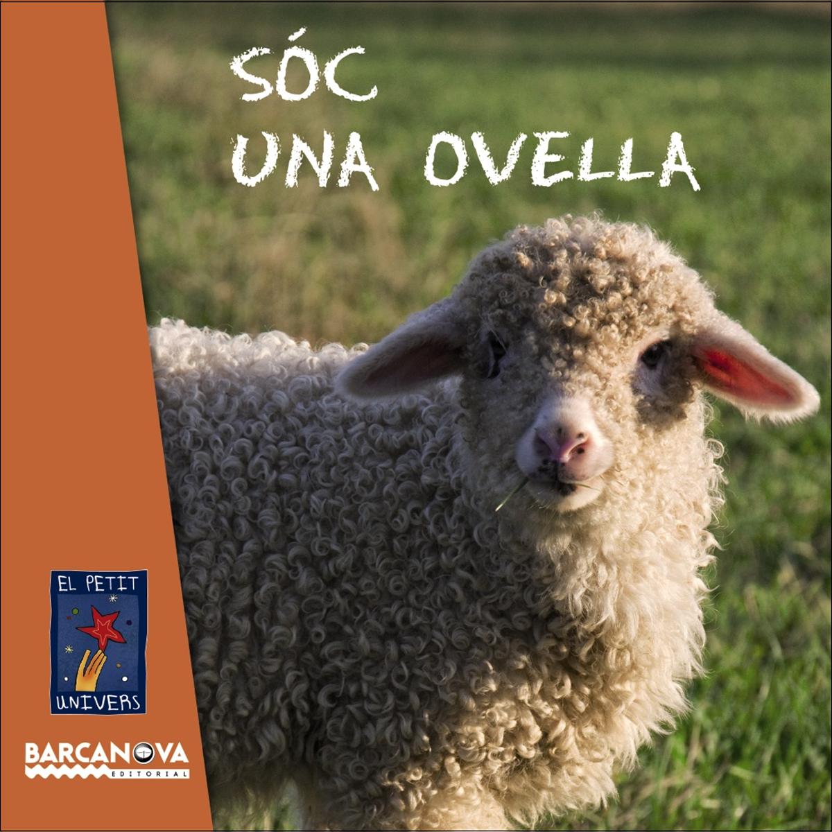 Imagen 1 de Soc una ovella (Tapa dura)