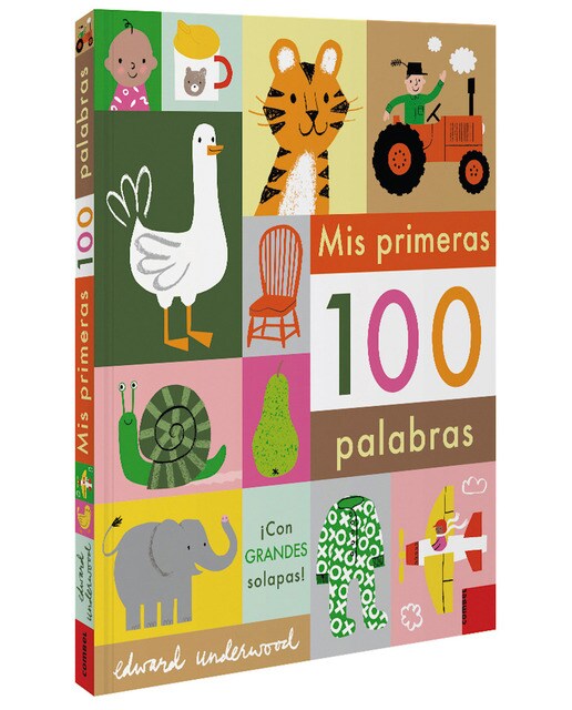 Imagem 0 de Mis primeras 100 palabras