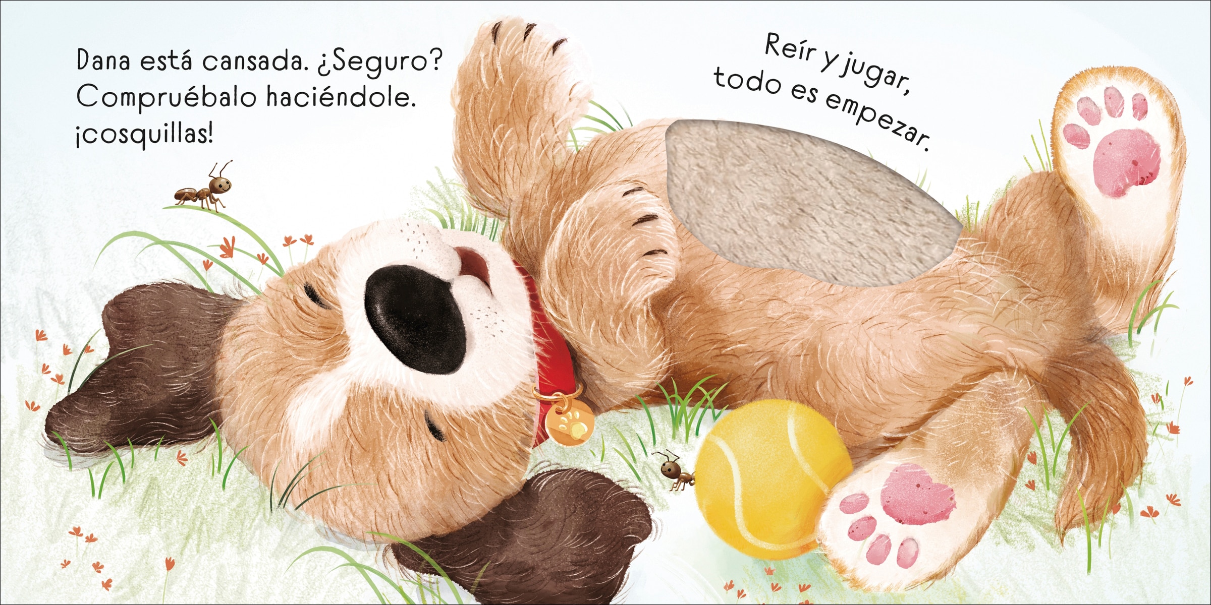 Sana, sana, perrita Dana 4