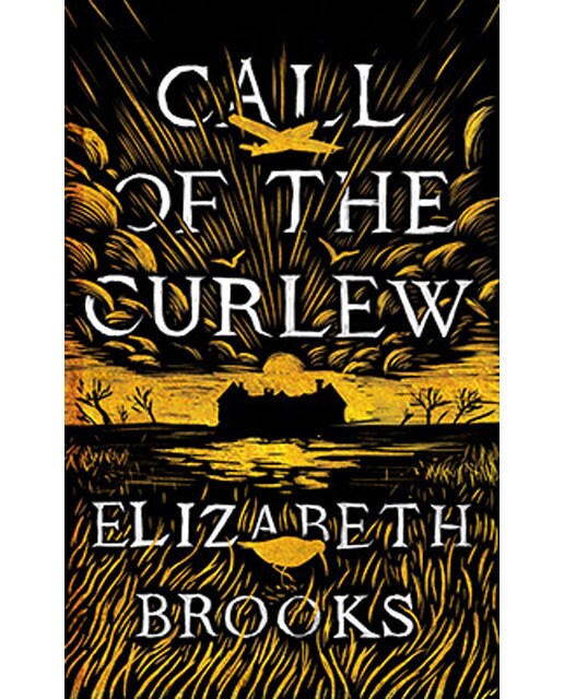 The Call Of The Curlew 1