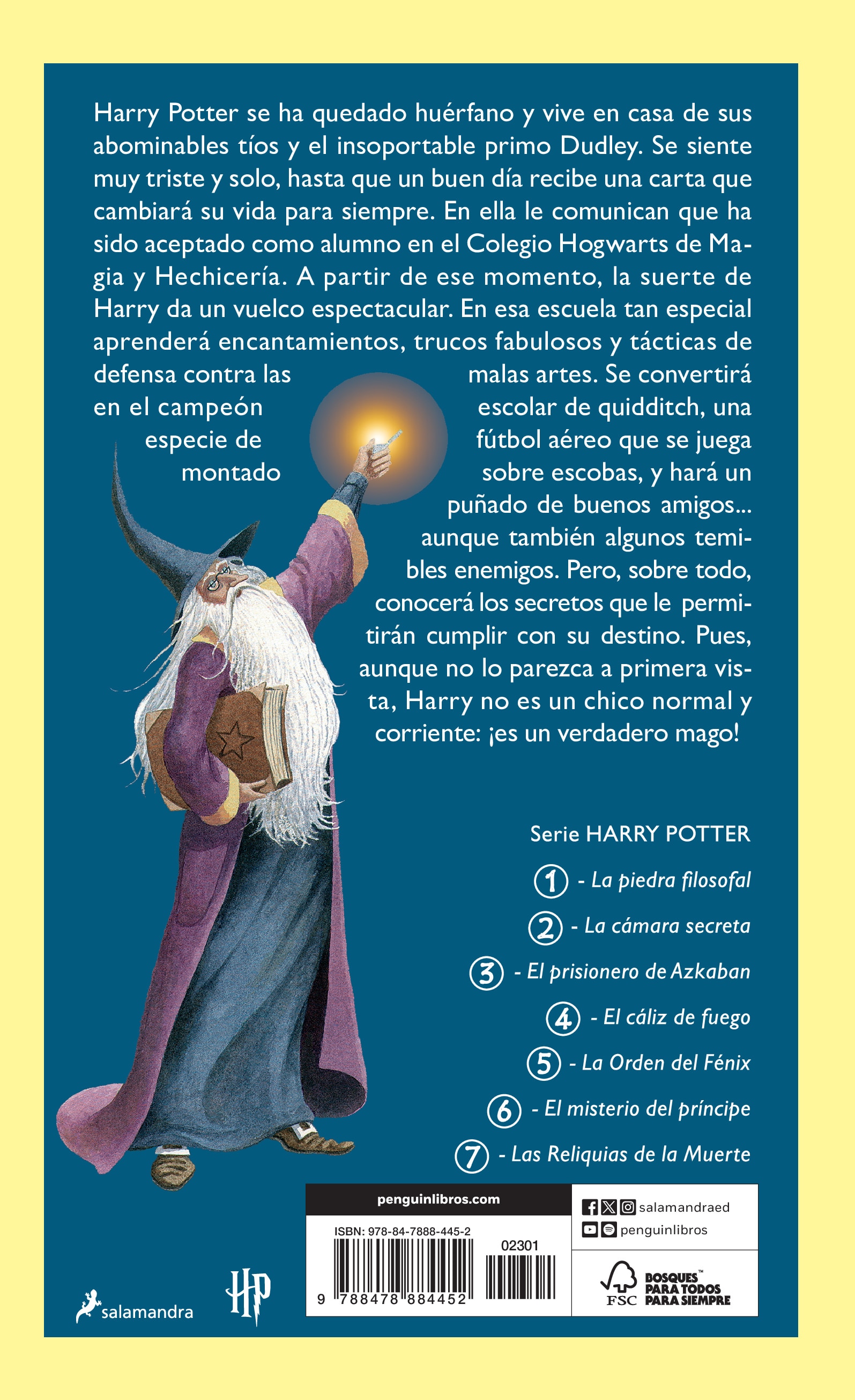 Harry Potter y la piedra filosofal (Harry Potter [edición con la portada ilustrada por Dolores Avendaño] 1)  (Tapa dura) 2