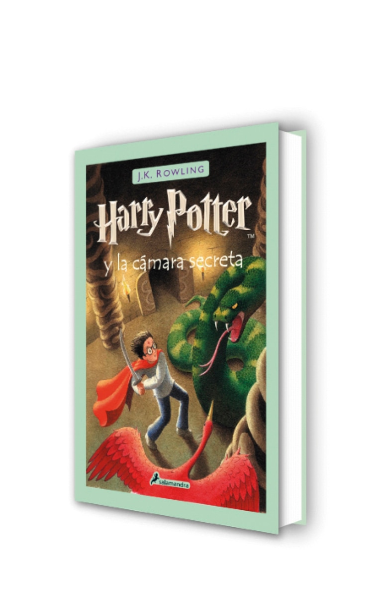 Harry Potter y la cámara secreta (Harry Potter [edición con la portada ilustrada por Dolores Avendaño] 2)  (Tapa dura) 3