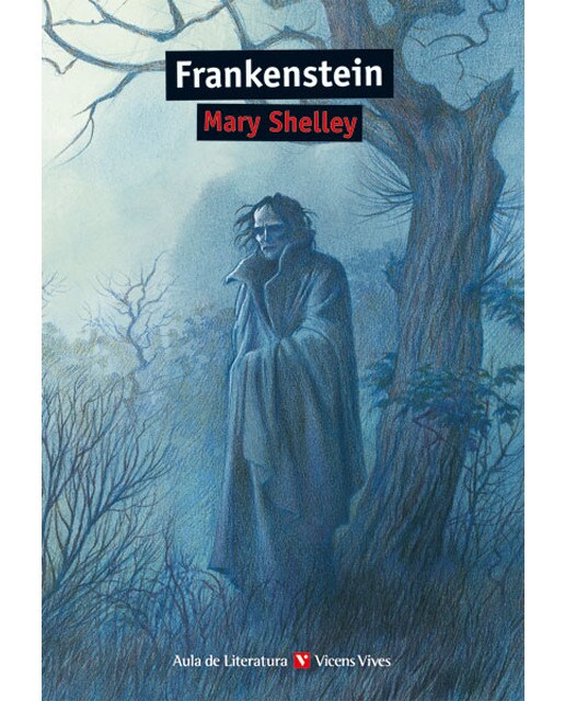 Frankenstein - Aula De Literatura (Capa mole) 1