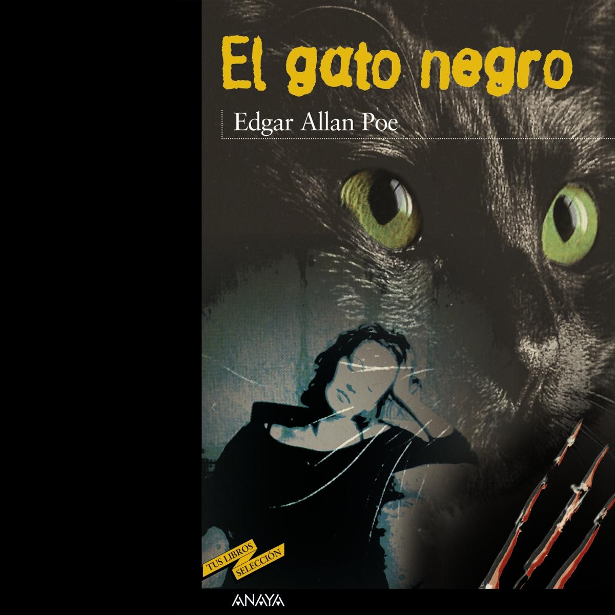 El gato negro  (Tapa blanda Tapa blanda con solapas) 1