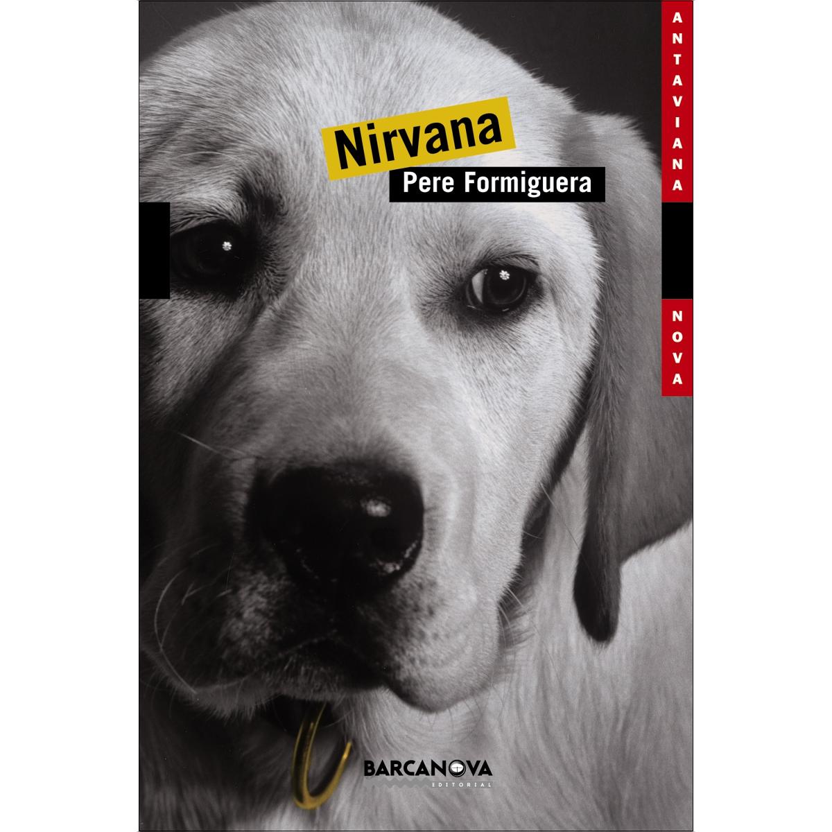 Nirvana 1