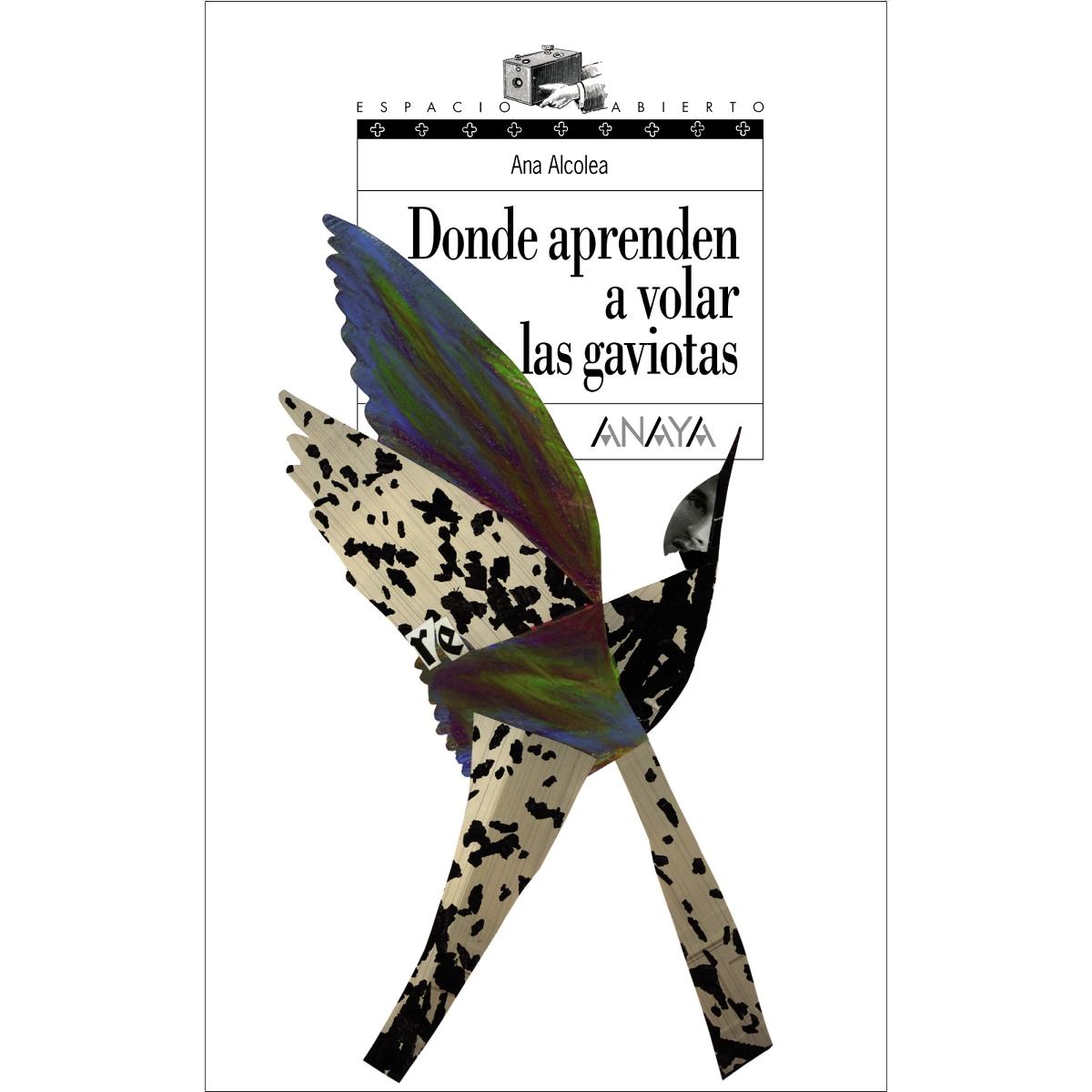 Imagen 0 de Donde aprenden a volar las gaviotas (Tapa blanda)