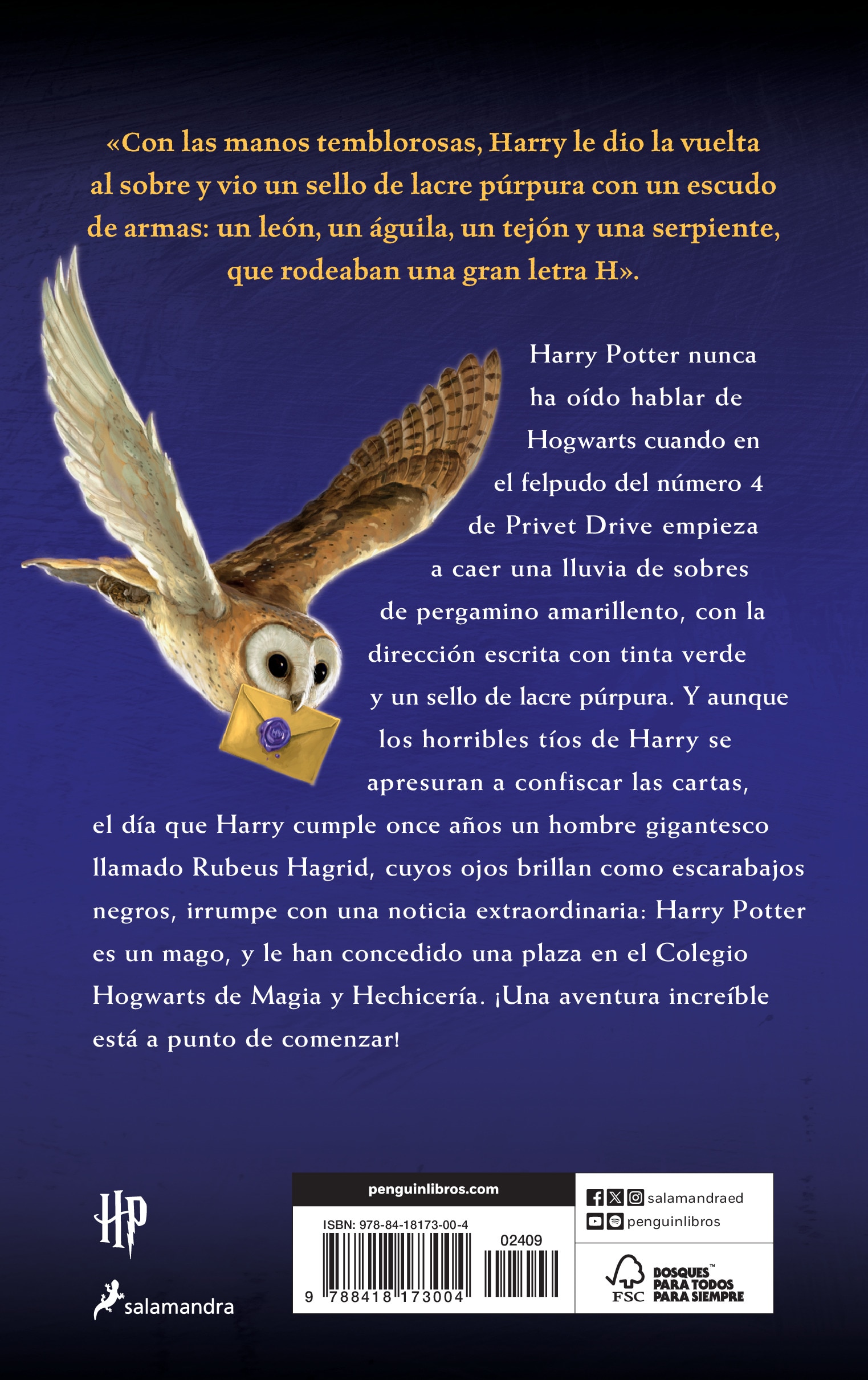 Harry Potter y la piedra filosofal (Harry Potter [edición con la portada ilustrada por Dolores Avendaño] 1)  (Tapa blanda Bolsillo) 2