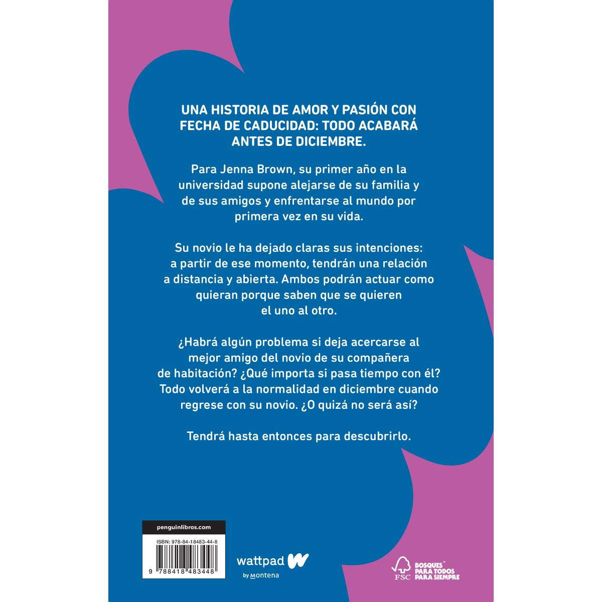 Antes de diciembre (edición revisada por la autora) (Meses a tu lado 1) (Tapa blanda) 2