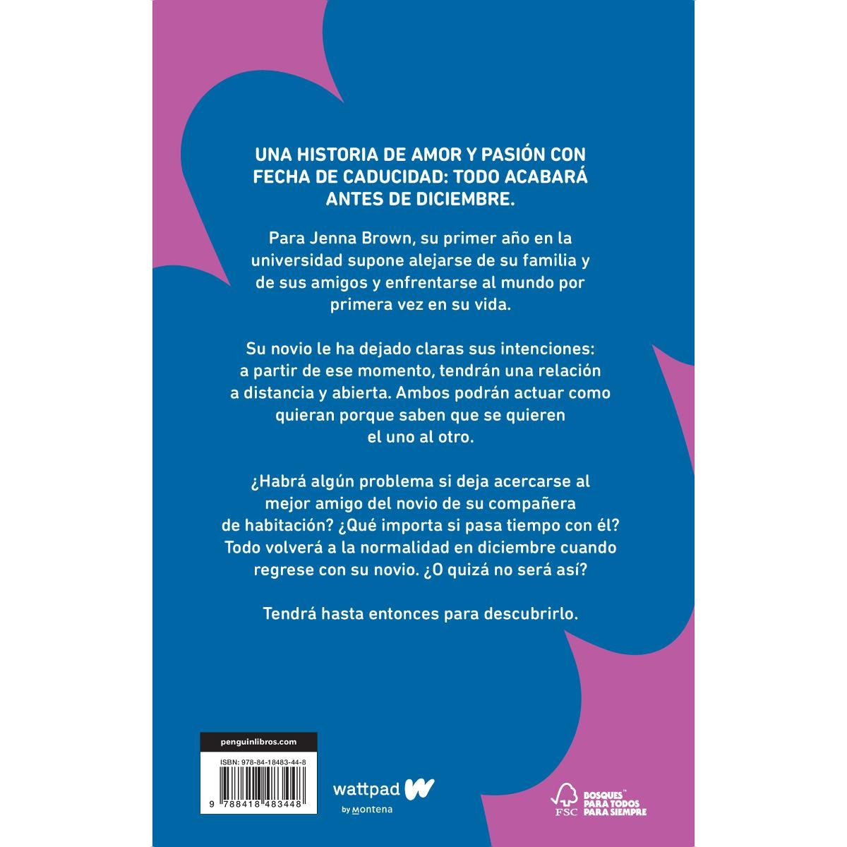 Antes de diciembre (edición revisada por la autora) (Meses a tu lado 1) (Capa mole) 2