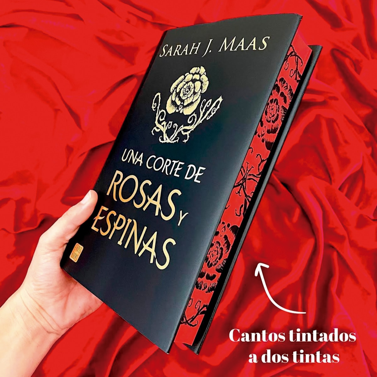 Una corte de rosas y espinas. Edición especial limitada con cantos tintados 2