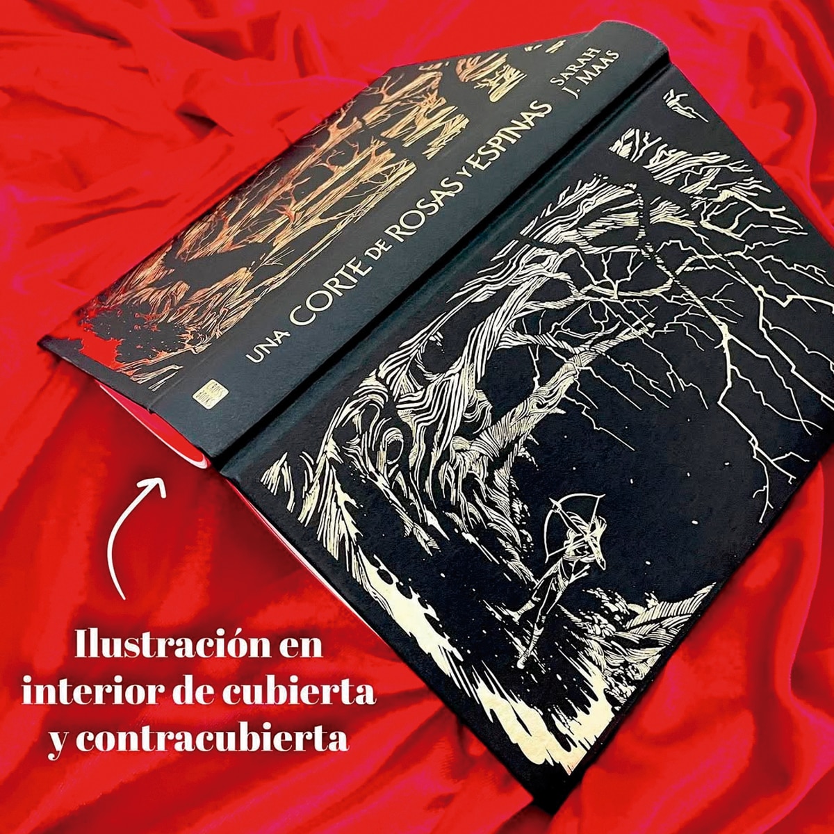 Una corte de rosas y espinas. Edición especial limitada con cantos tintados 3