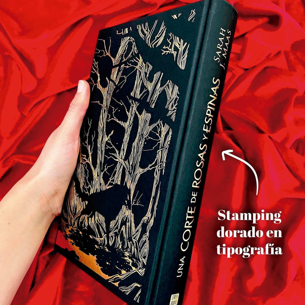 Una corte de rosas y espinas. Edición especial limitada con cantos tintados 4