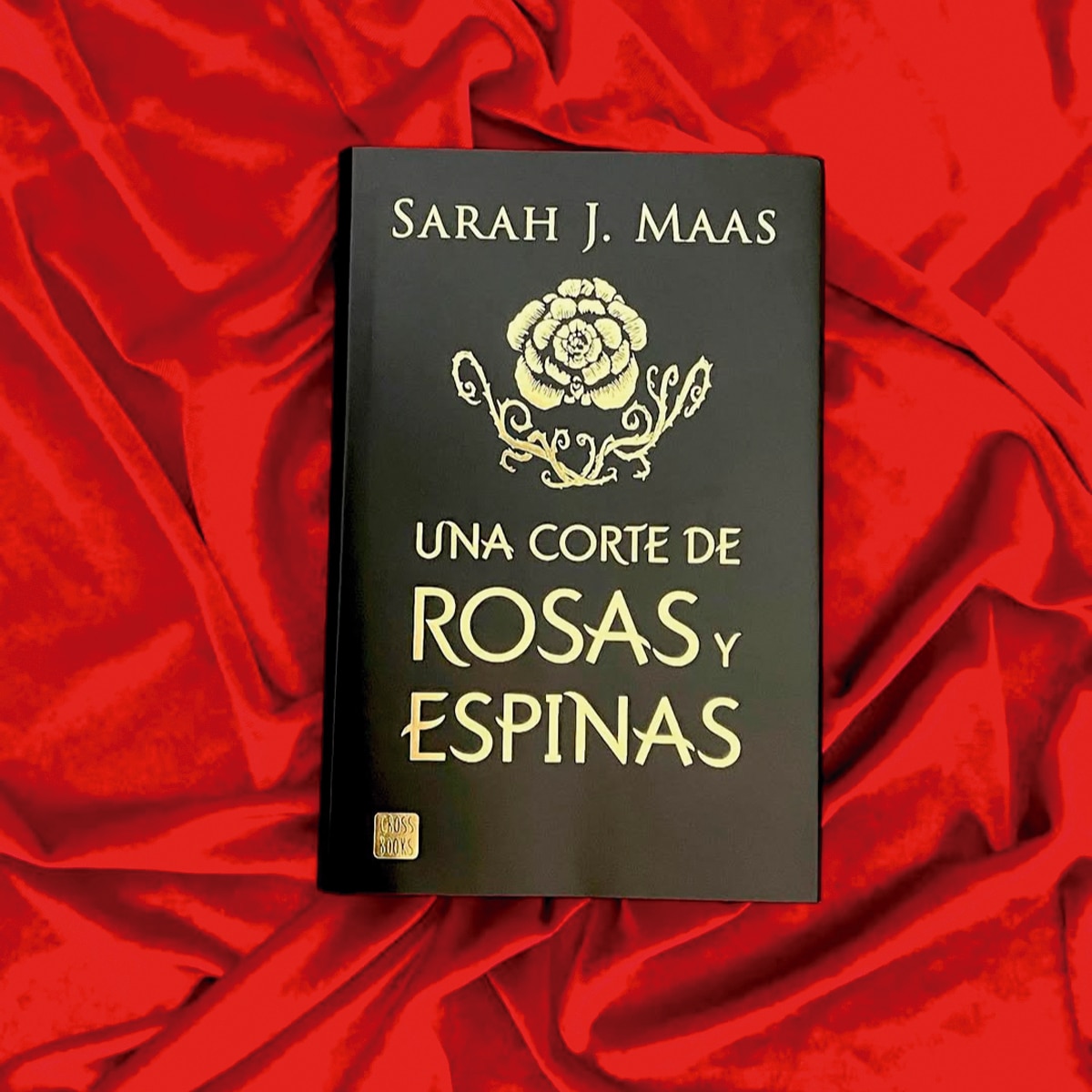 Una corte de rosas y espinas. Edición especial limitada con cantos tintados 5