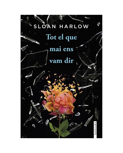 Imagen 1 de Tot el que mai ens vam dir  (Tapa blanda con solapas)