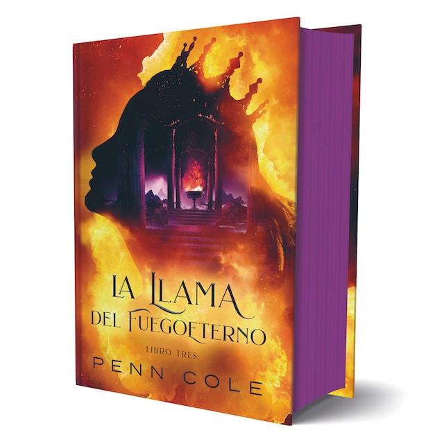 Imagen 0 de Saga Fuegoeterno nº 3: La llama del Fuegoeterno (Tapa dura)
