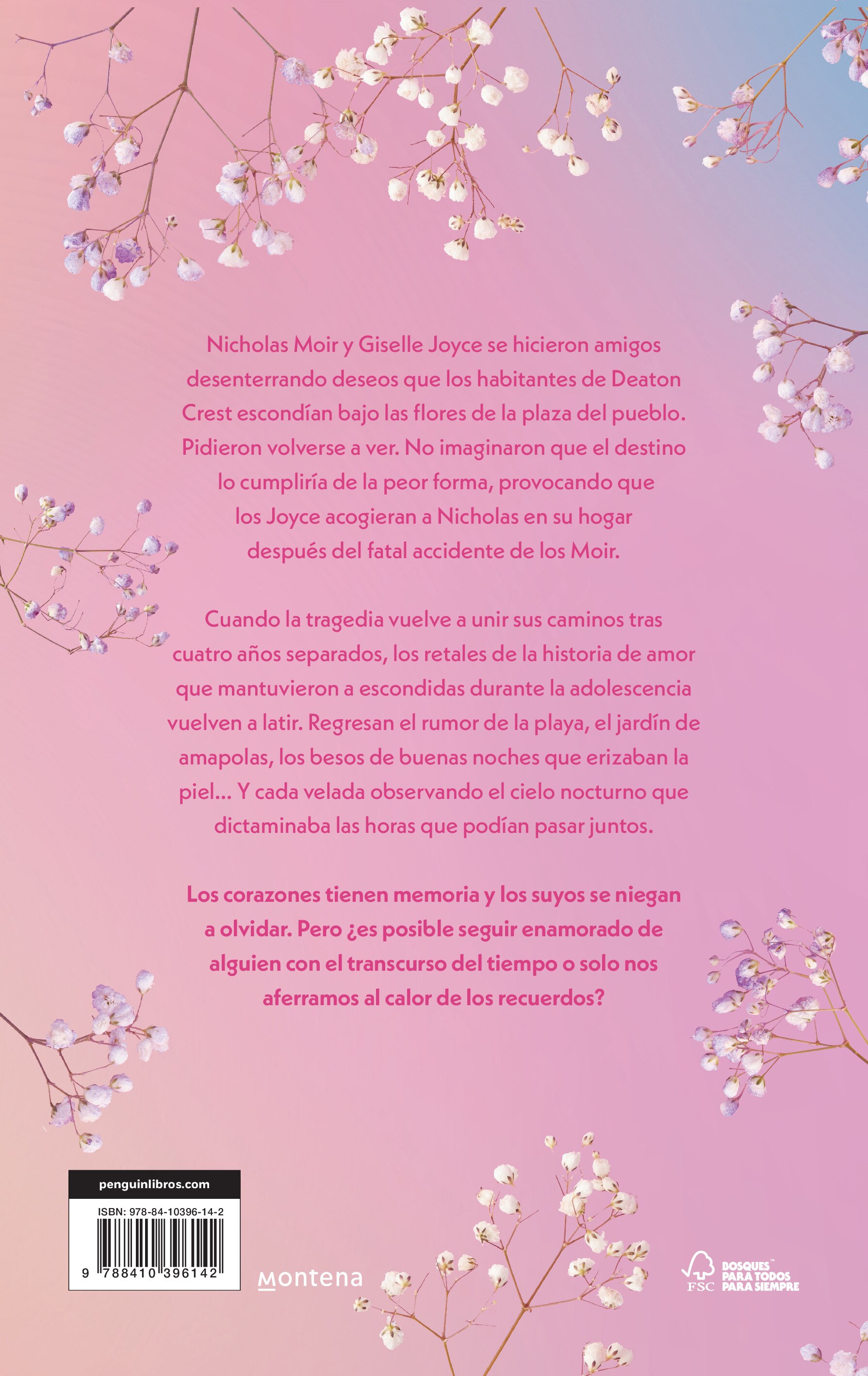 Hasta desgastar el cielo (Capa mole) 2