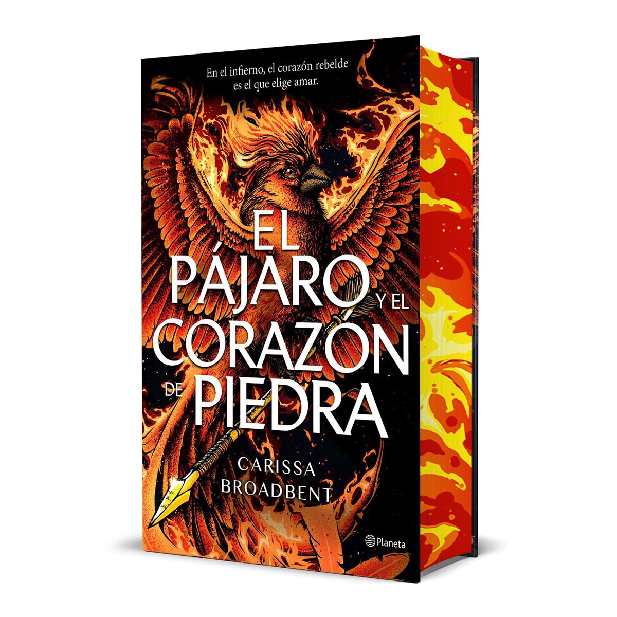 Imagem 0 de El pájaro y el corazón de piedra (Edición Deluxe)