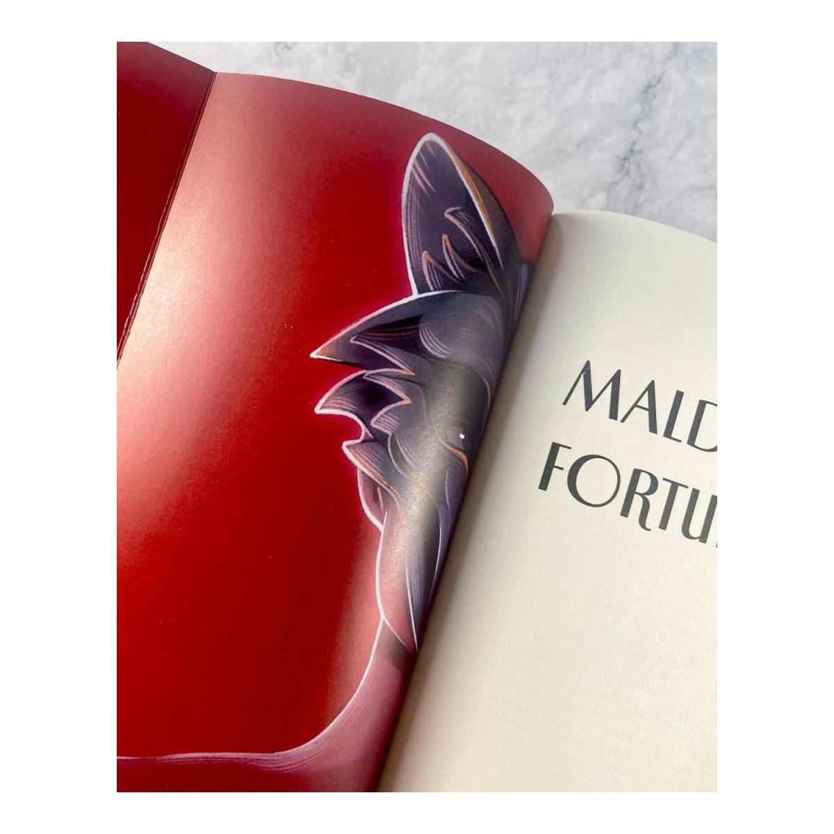 Maldita fortuna (Capa mole com abas) 2