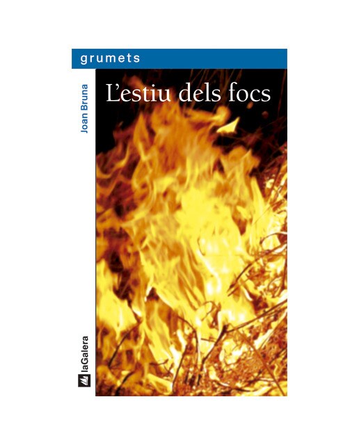 L'estiu dels focs
