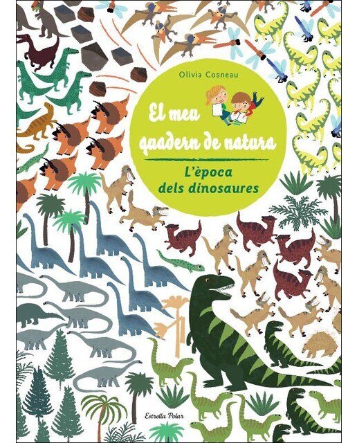 Imagen 1 de Insectes. El meu quadern de natura