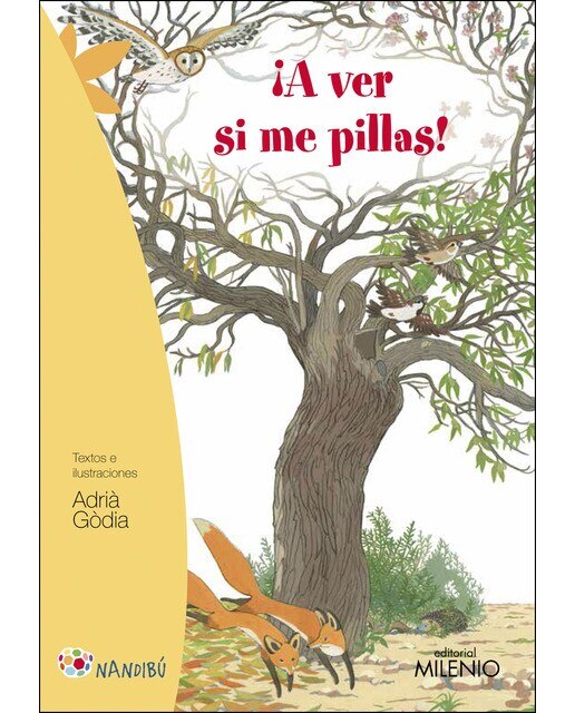 Imagen 1 de ¡A ver si me pillas!  (Tapa blanda)