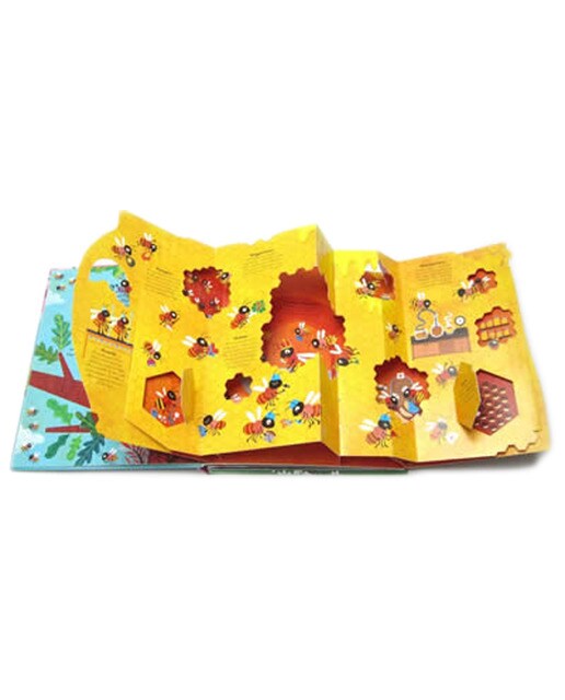 Pop inside: animal homes 1