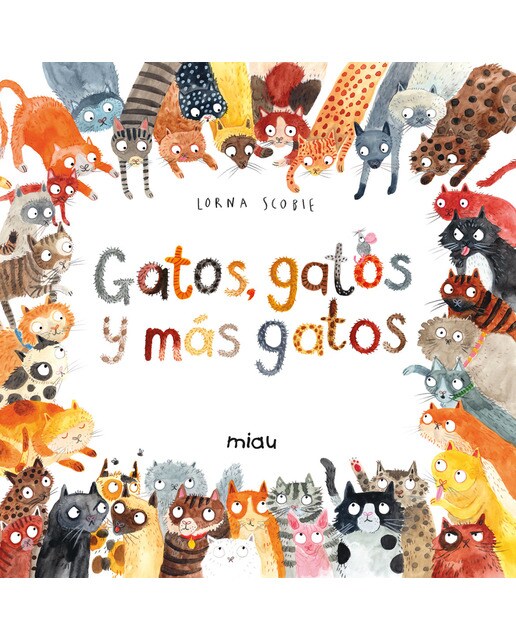 Gatos, gatos y más gatos