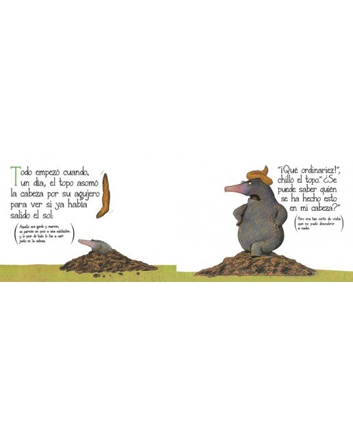 El topo que quería saber quién se había hecho aquello en su cabeza (libro de cartón) 3