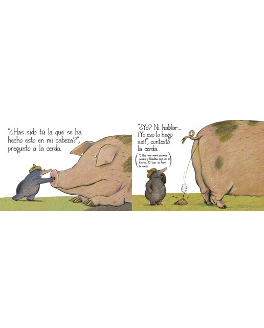 El topo que quería saber quién se había hecho aquello en su cabeza (libro de cartón) 4