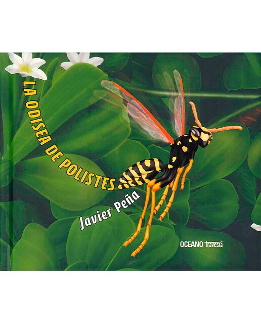 Imagen 0 de La odisea de Polistes