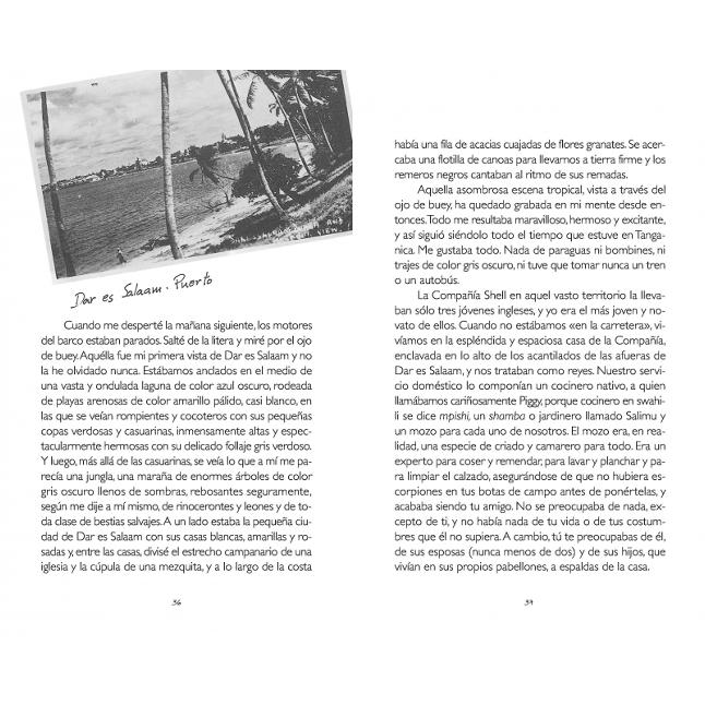 Volando solo (Colección Alfaguara Clásicos) (Capa dura) 3