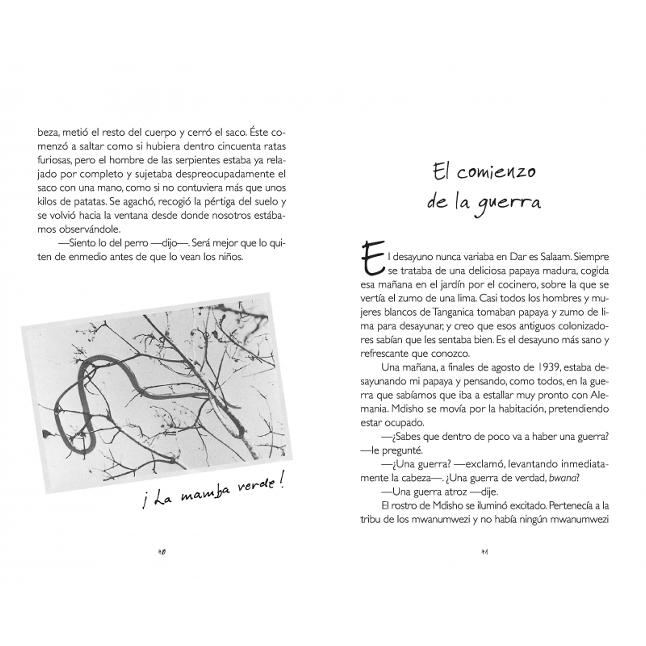 Volando solo (Colección Alfaguara Clásicos) (Capa dura) 5