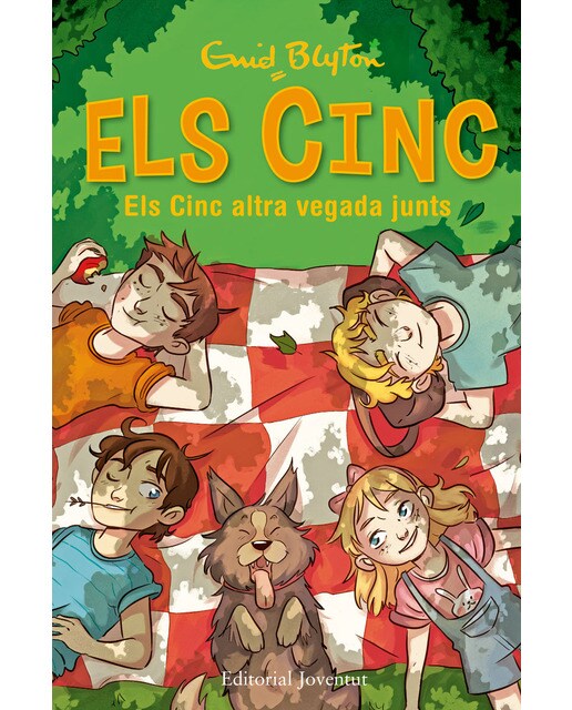 Els Cinc altra vegada junts (Capa dura) 1