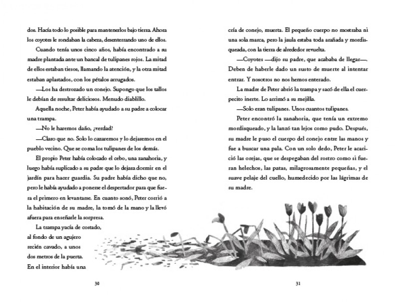 Pax: Una historia de paz y amistad(Tapa blanda) 5
