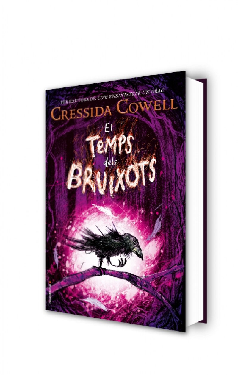 El Temps dels Bruixots 1 - El Temps dels Bruixots (Tapa dura) 2