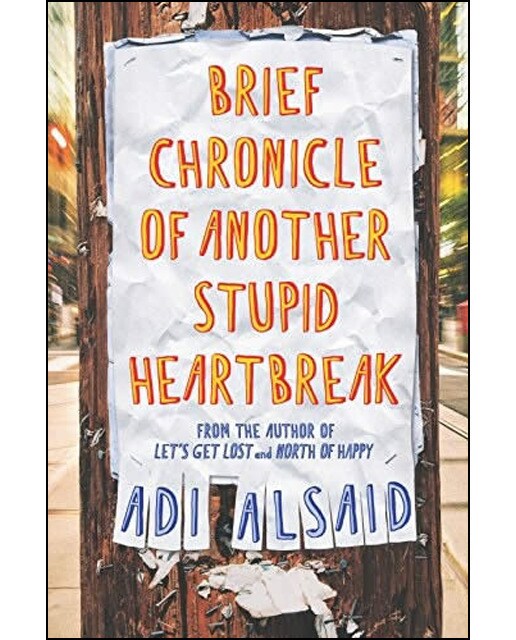 Brief Chronicle Of Another Stupid Heartbreak 1