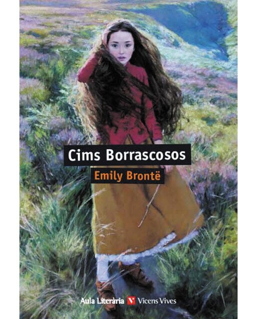 CIMS BORRASCOSOS (AULA LITERARIA) (Capa mole) 1