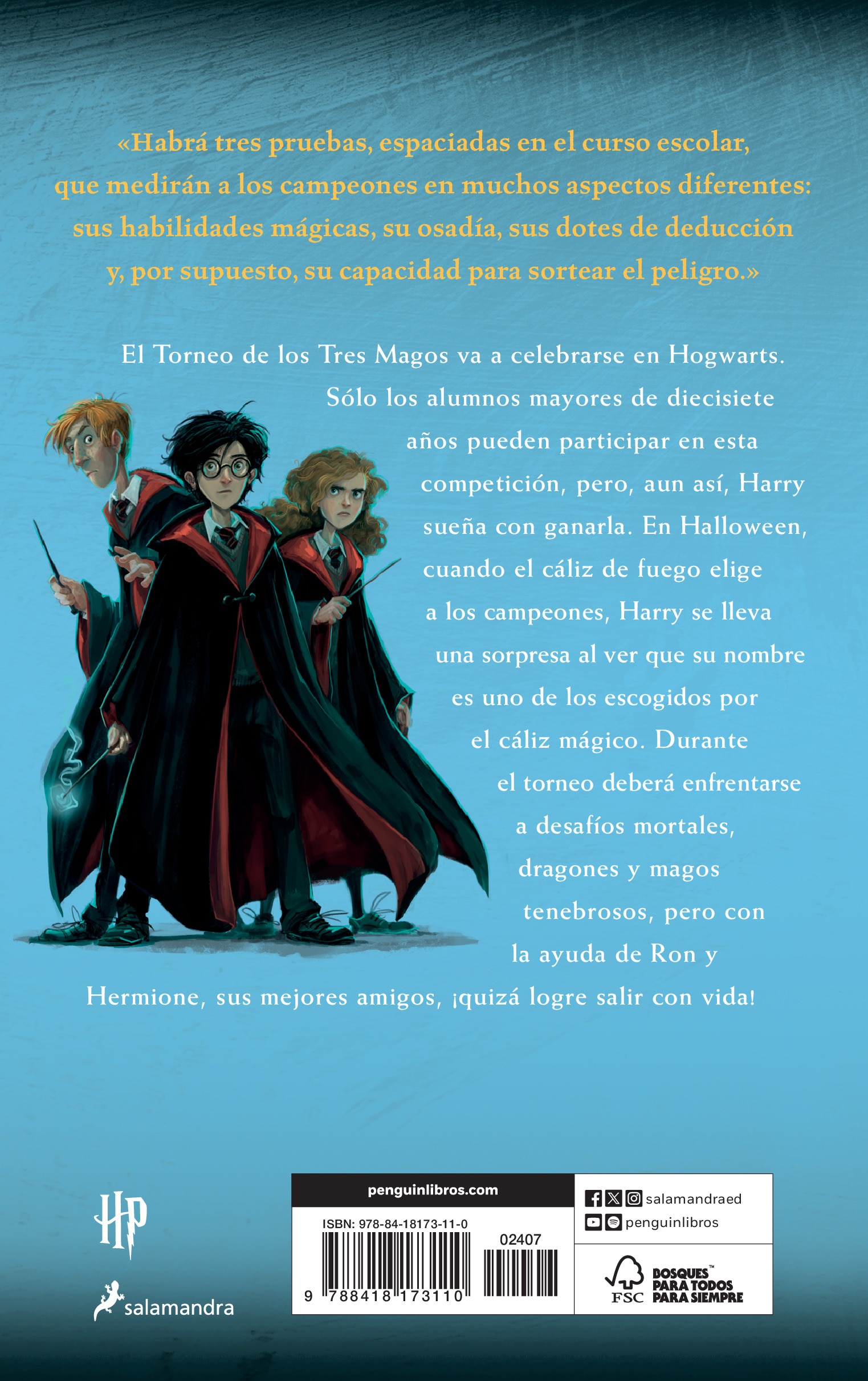 Harry Potter y el cáliz de fuego (Harry Potter [edición con la portada ilustrada por Dolores Avendaño] 4)  (Tapa blanda) 2