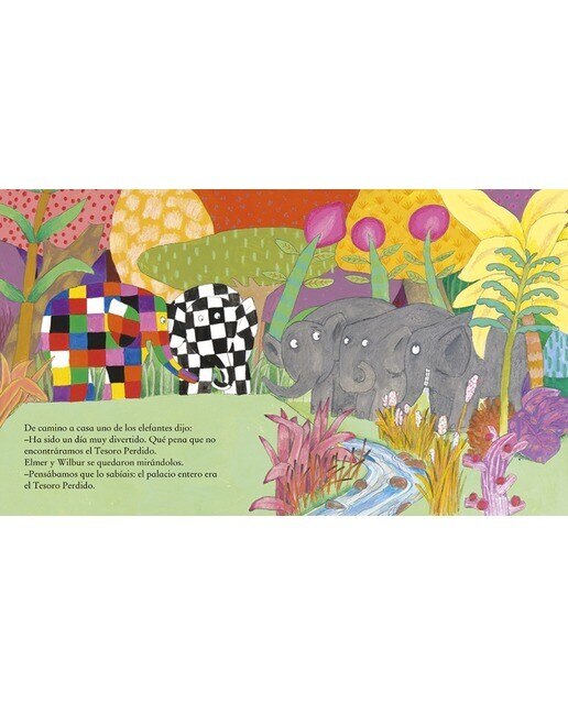 Elmer. Un cuento - Elmer y el tesoro perdido (Capa dura) 3